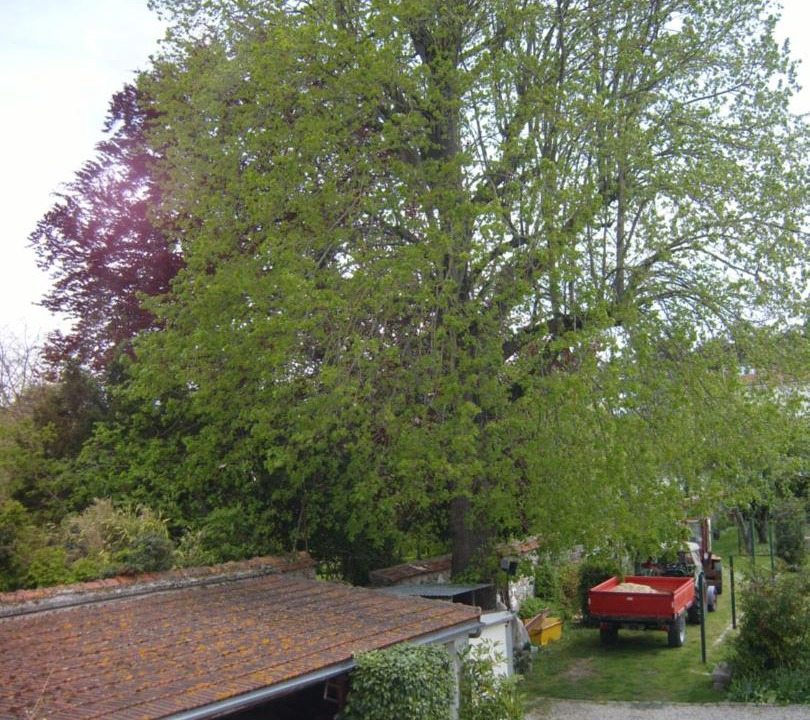 Photo of Others in Fere-en-Tardenois