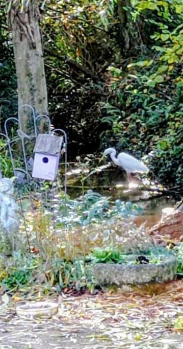 Photo of Others in Vendeuil-Caply