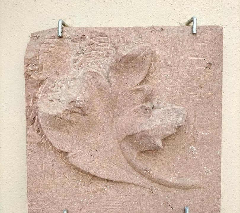 Photo of Others in Bischoffsheim