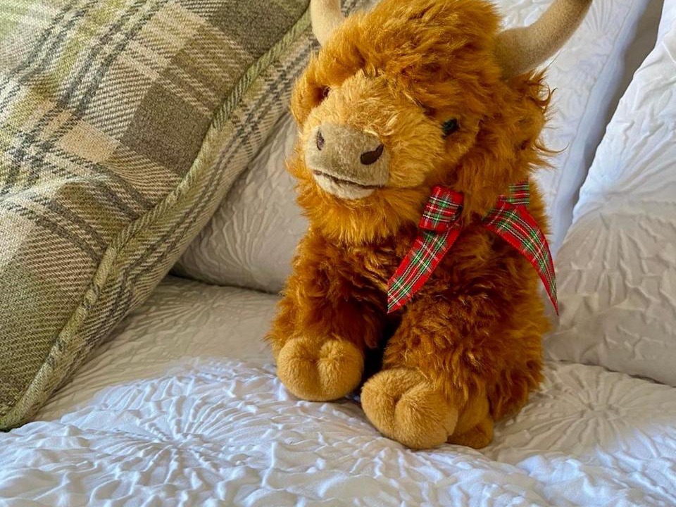 Photo of Others in Braemar