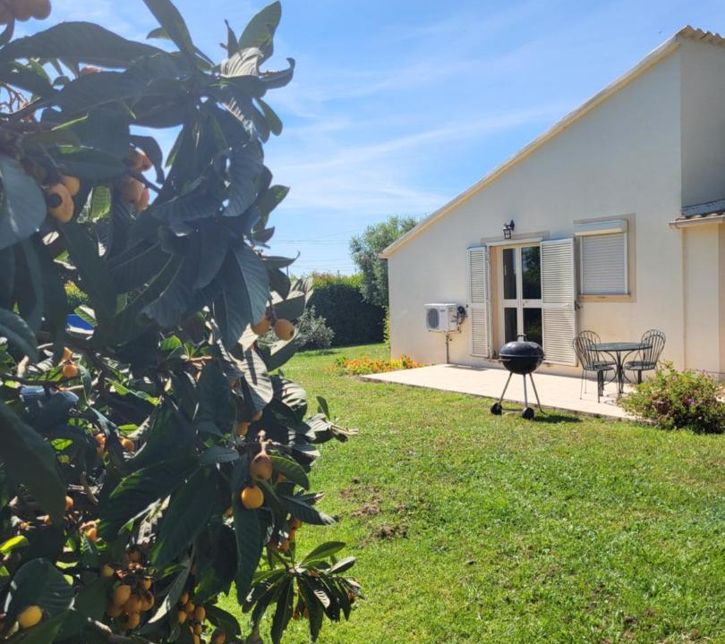 Photo of Others in Linguizzetta