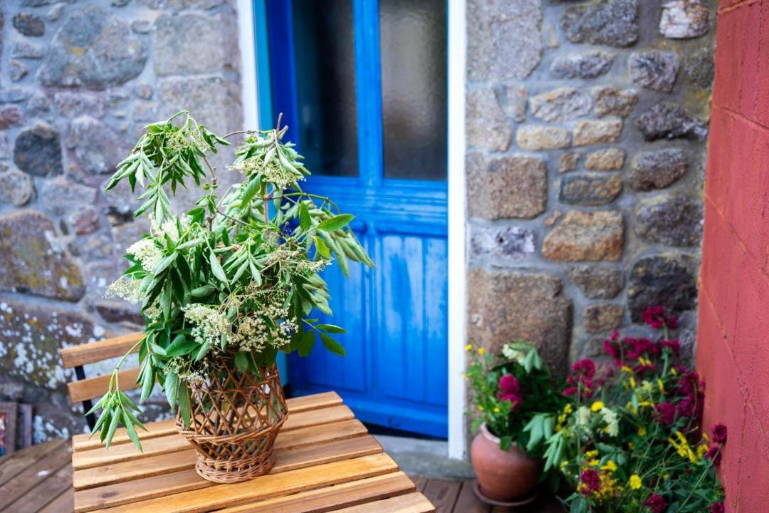 Photo of Others in Saint-Cyr-du-Bailleul