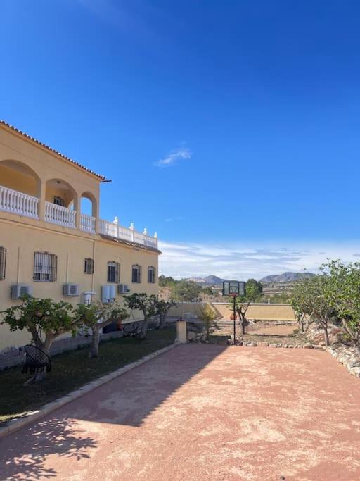 Photo of Others in Hondon de las Nieves