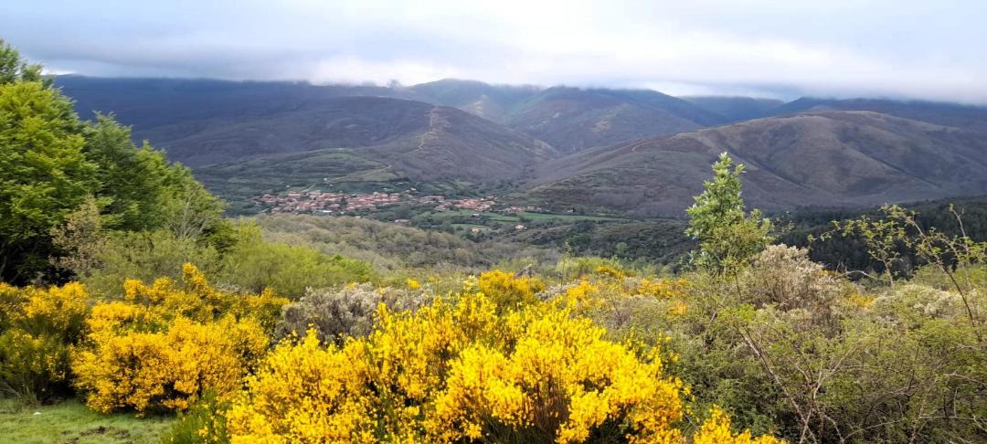 Photo of Others in Pineda de la Sierra