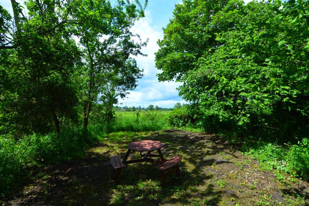 Photo of Others in Hopton