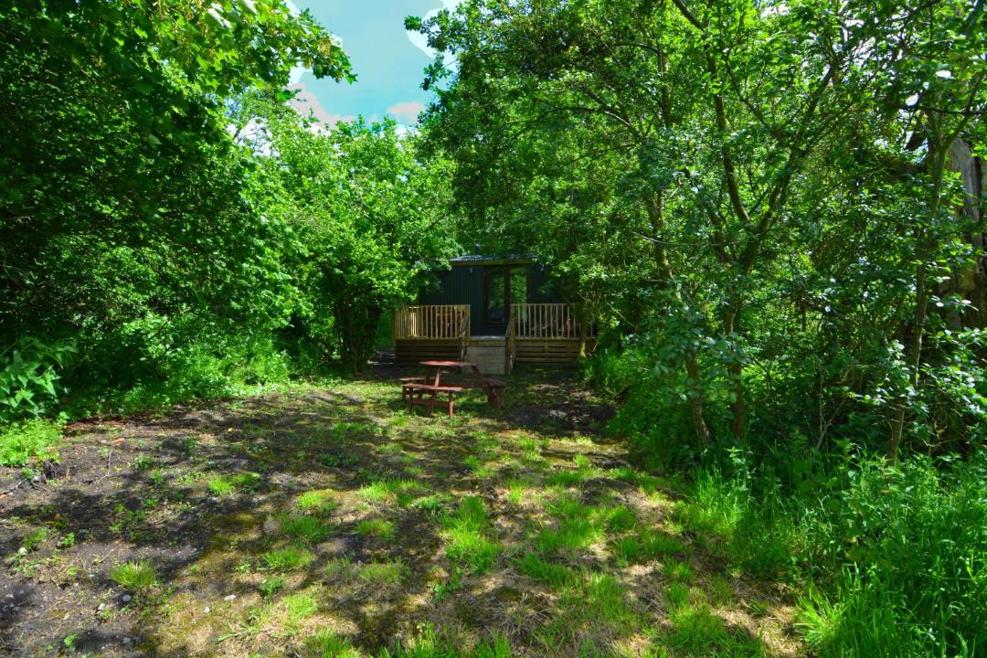 Photo of Others in Hopton