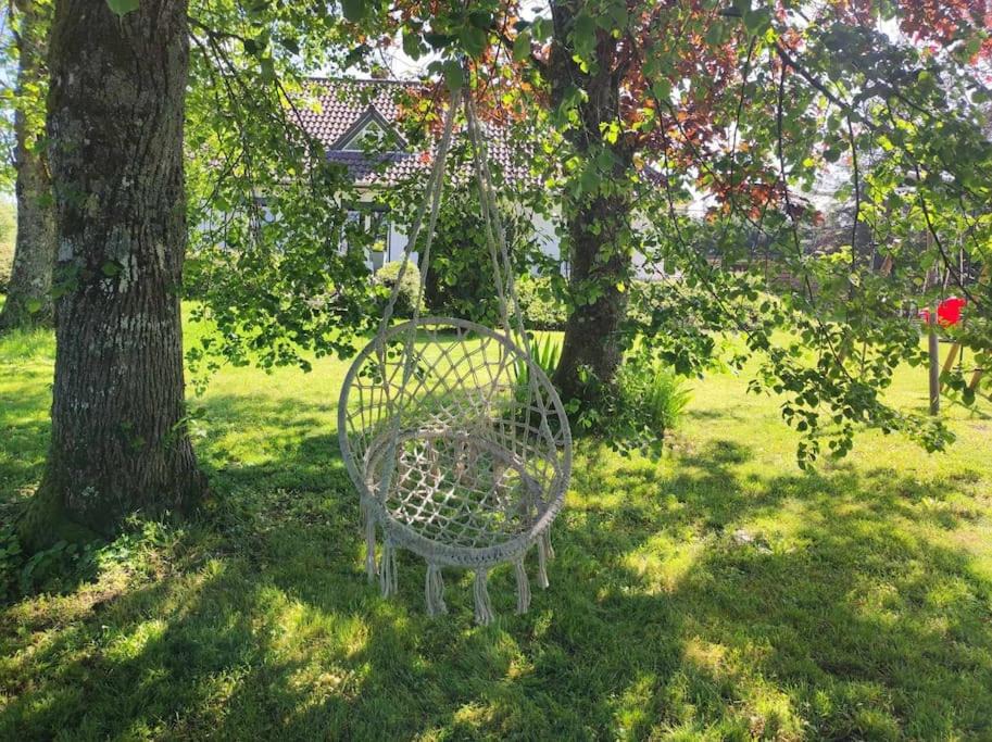 Photo of Others in Avallon