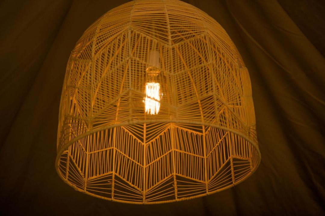 Photo of Others in Otorohanga