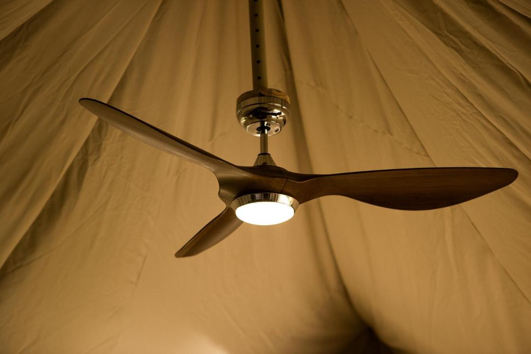 Photo of Others in Otorohanga