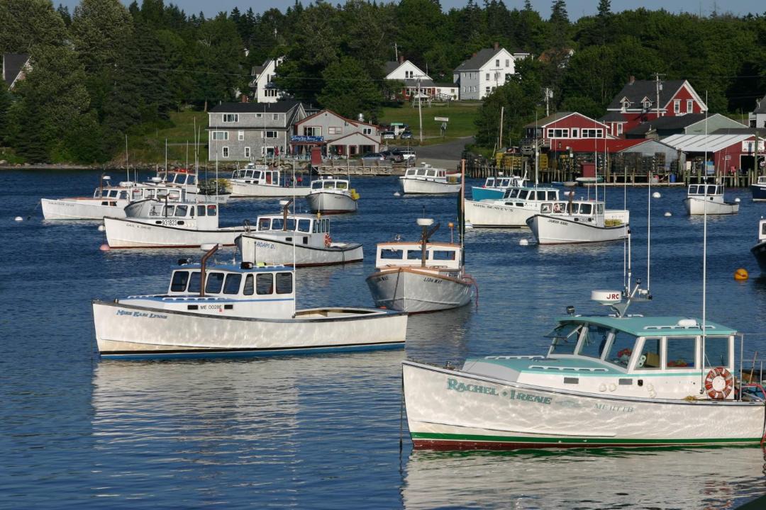 Photo of Others in Bass Harbor