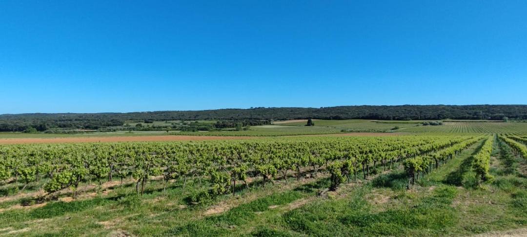 Photo of Others in Sagries