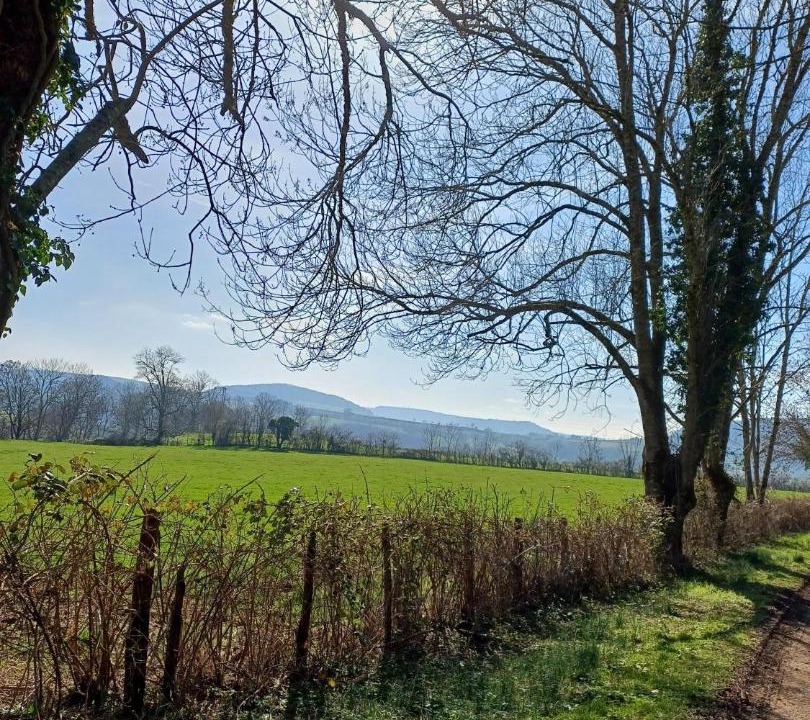 Photo of Others in Baulme-la-Roche