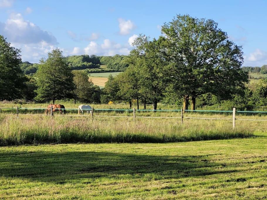 Photo of Others in Grand-Fougeray