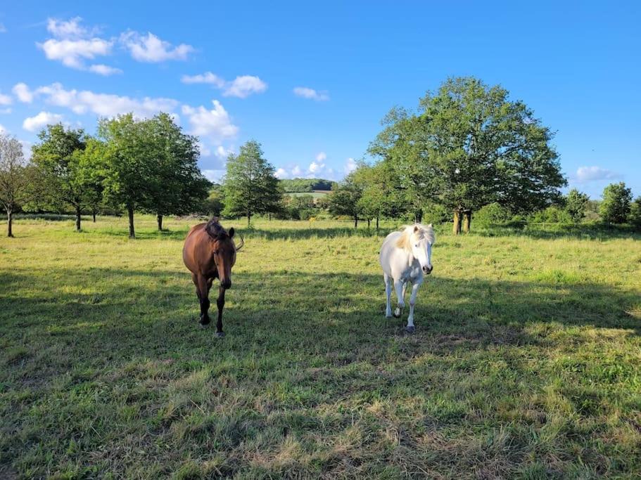 Photo of Others in Grand-Fougeray