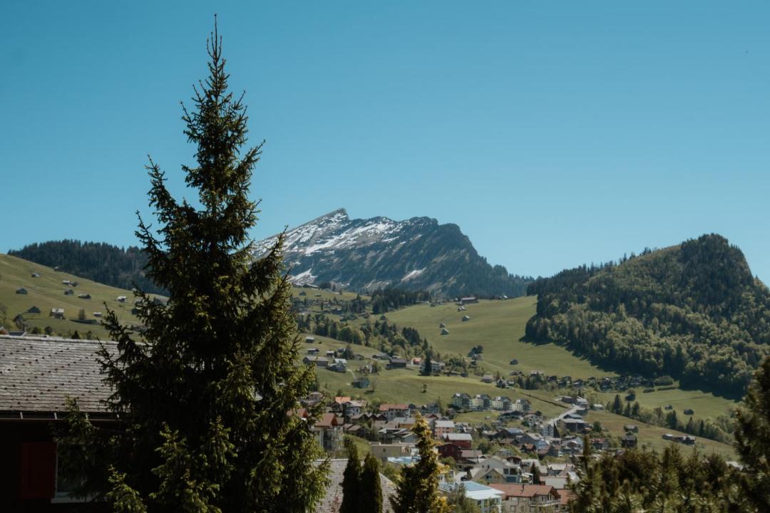 Photo of Others in Amden