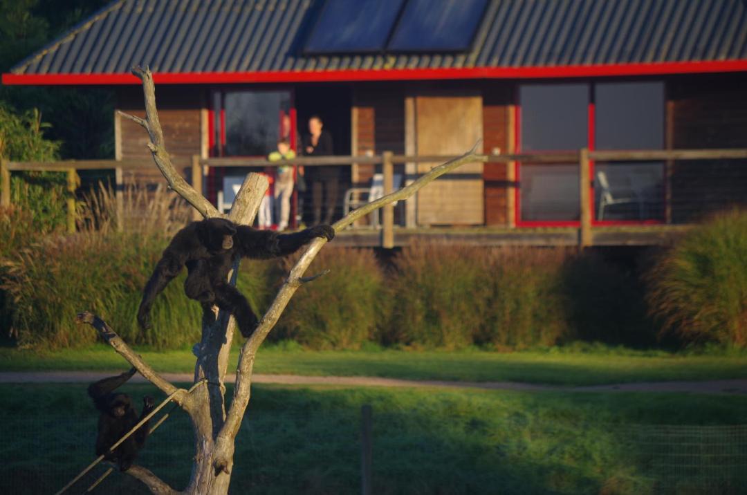 Photo of Others in Hermival-les-Vaux