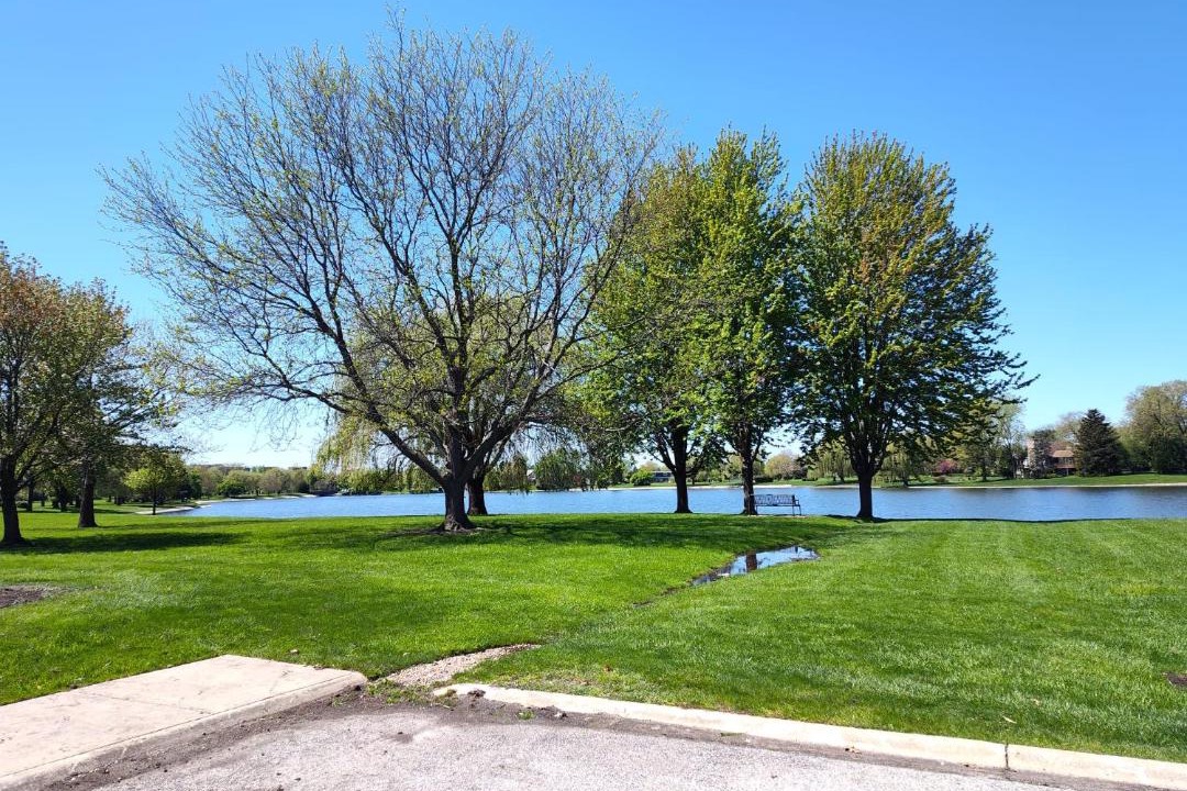 Photo of Others in Elk Grove Village