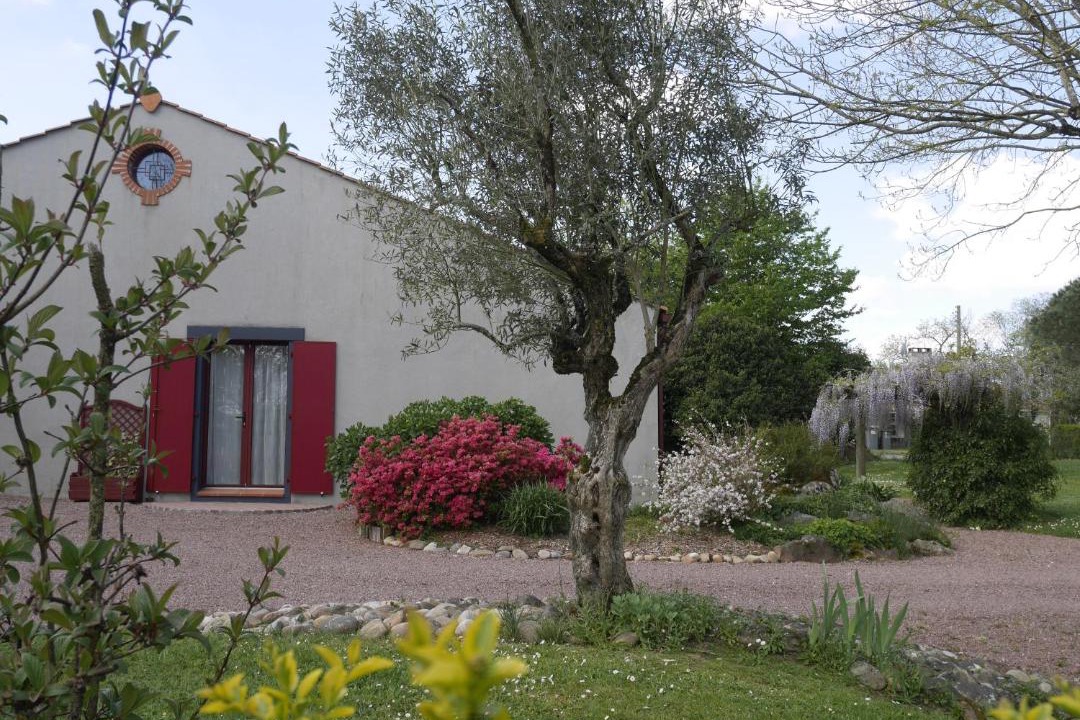 Photo of Others in L'Aiguillon-sur-Vie