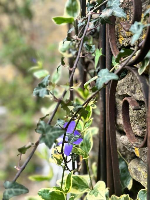 Photo of Others in Chippenham