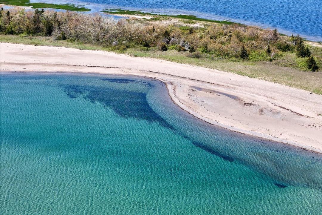 Photo of Others in Pomquet