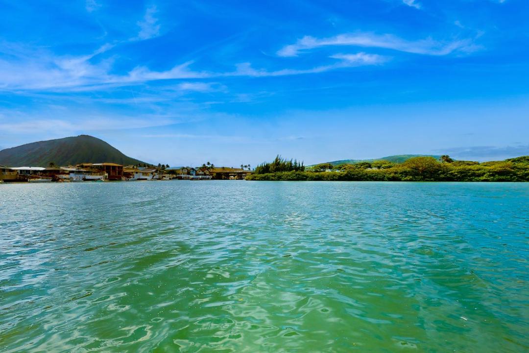 Photo of Others in Portlock