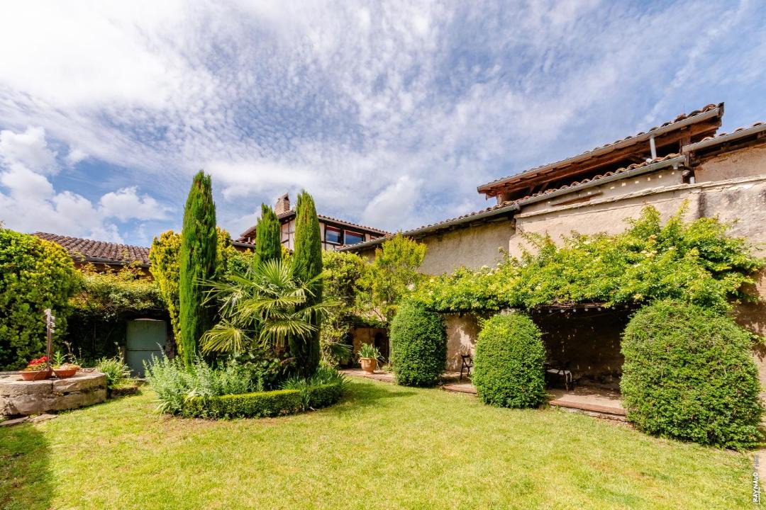 Photo of Others in Lisle-sur-Tarn