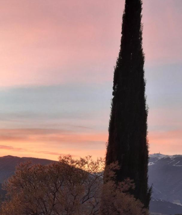 Photo of Others in Faucon