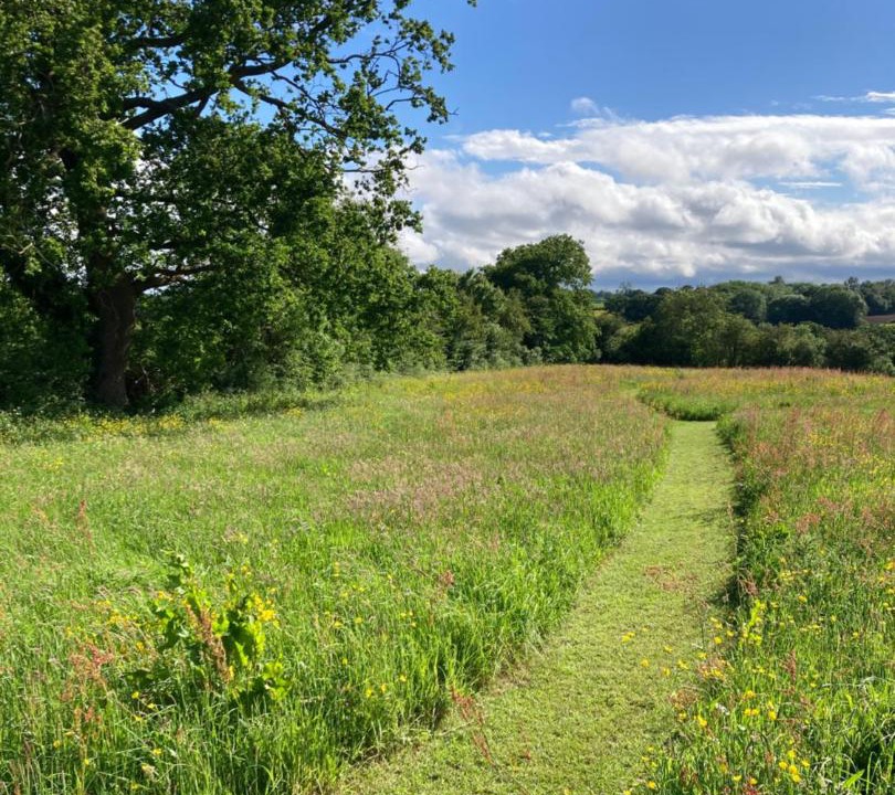 Photo of Others in Overton-on-dee