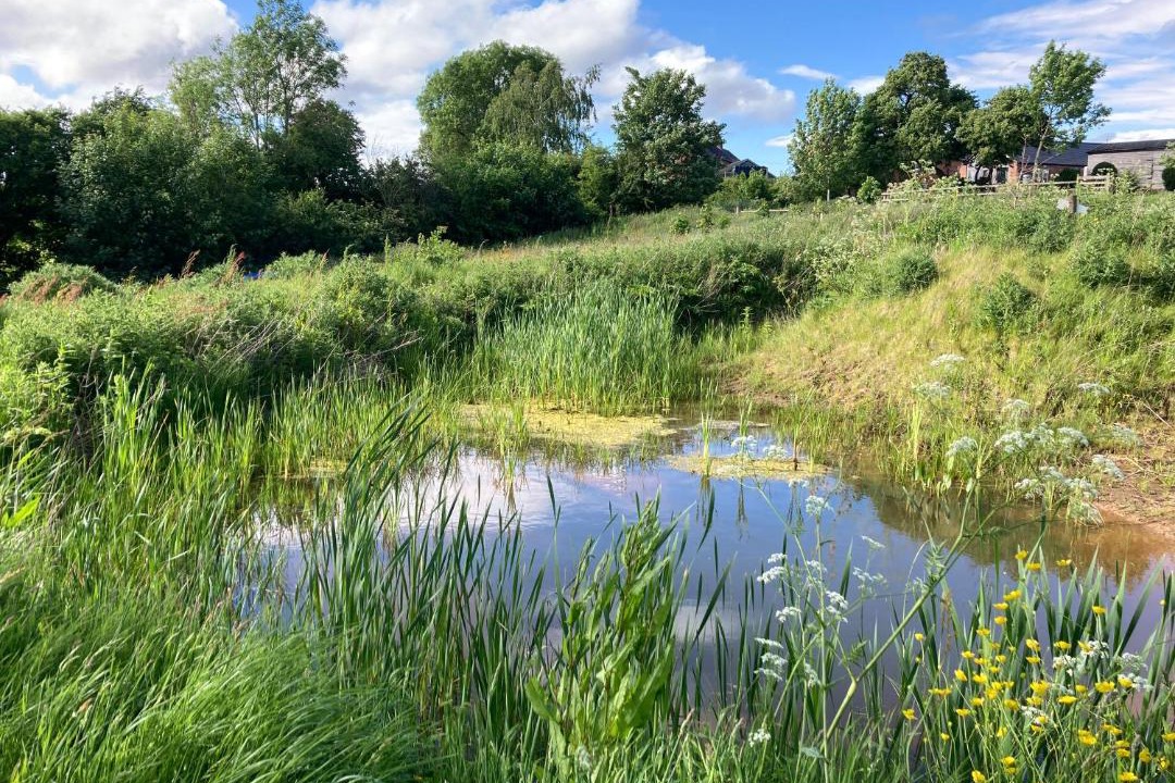 Photo of Others in Overton-on-dee