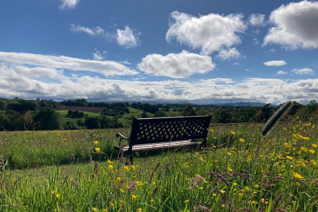 Photo of Others in Overton-on-dee