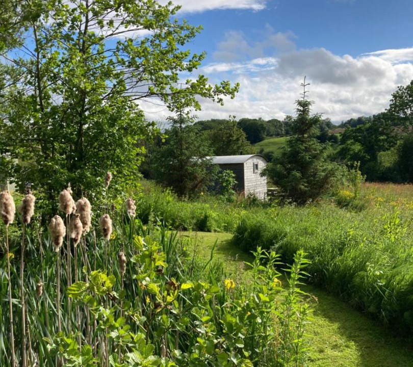 Photo of Others in Overton-on-dee