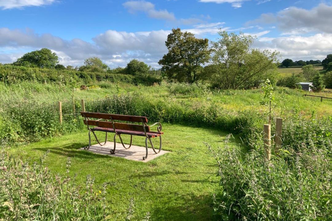 Photo of Others in Overton-on-dee