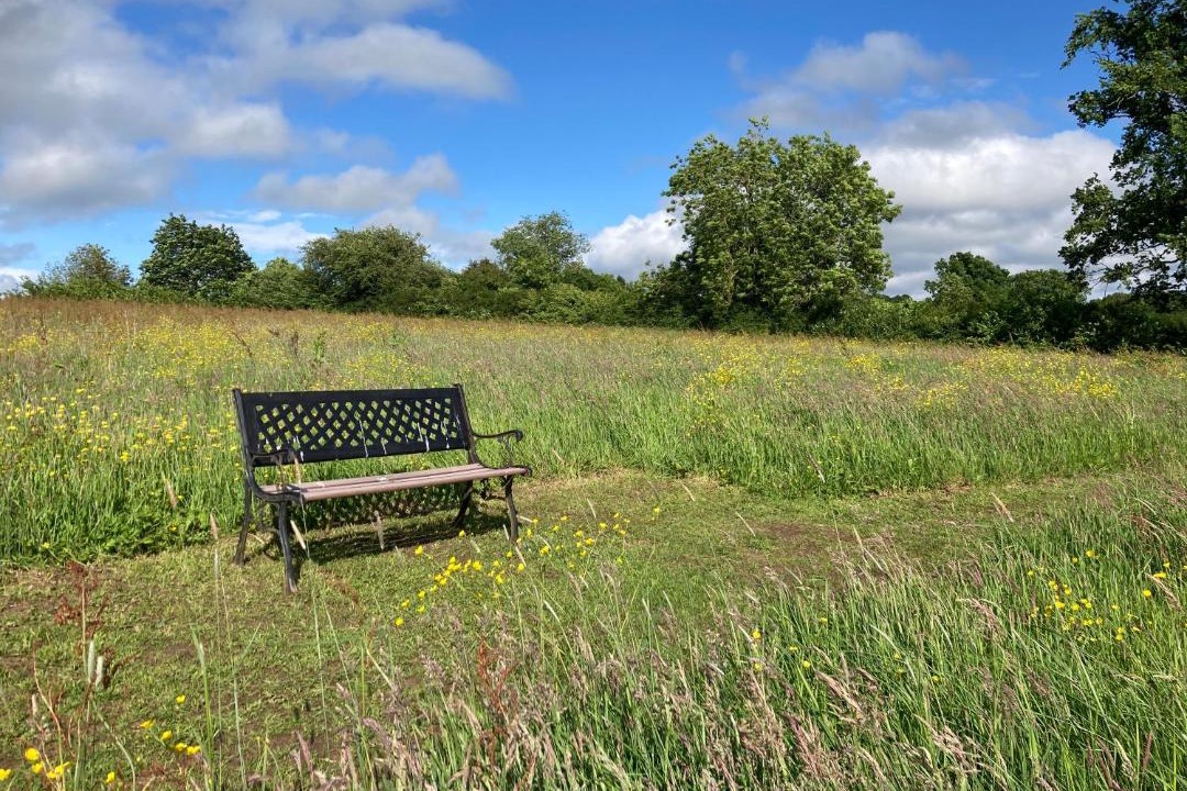 Photo of Others in Overton-on-dee