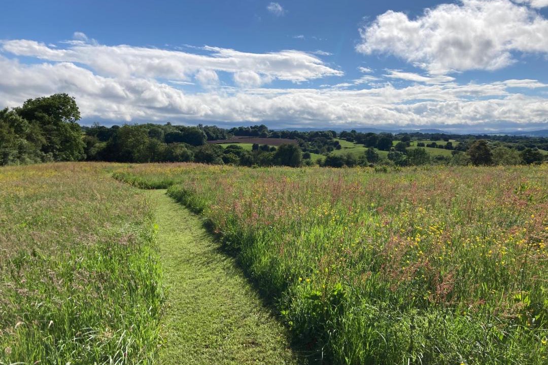 Photo of Others in Overton-on-dee