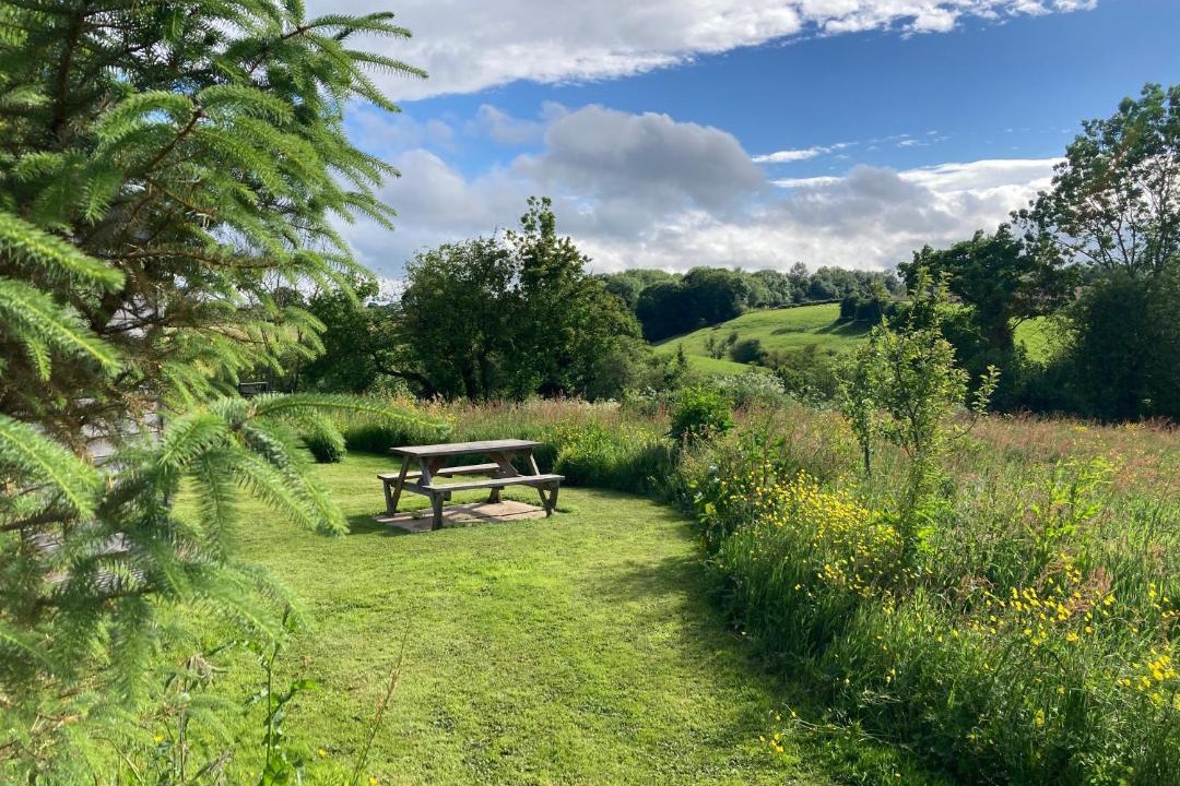 Photo of Others in Overton-on-dee