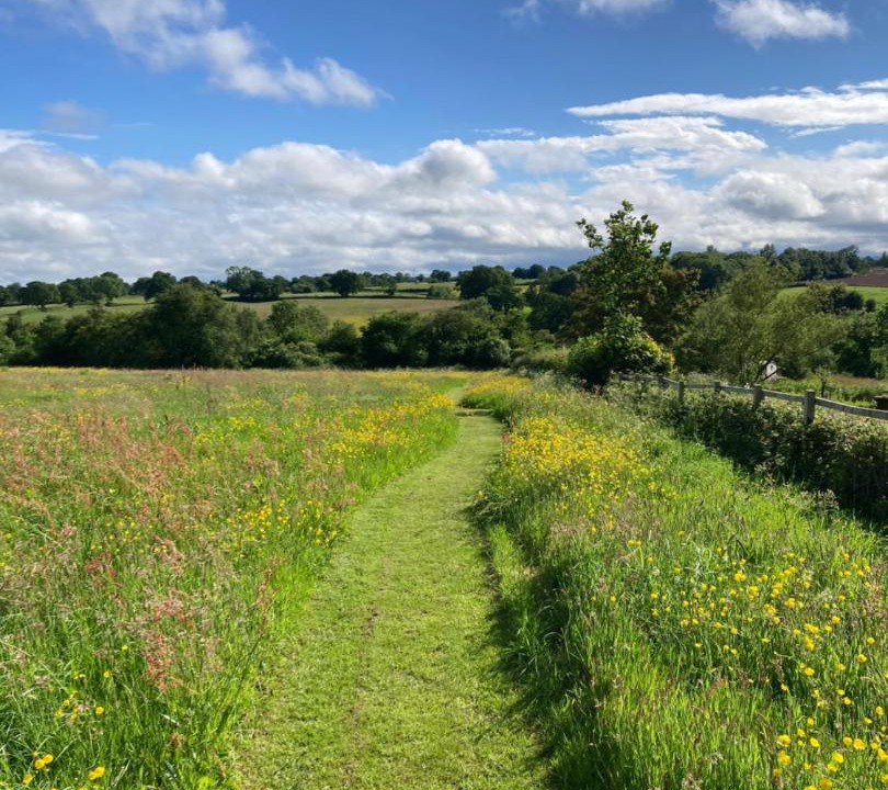 Photo of Others in Overton-on-dee