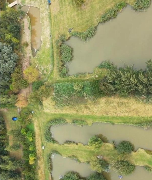 Photo of Others in Frampton