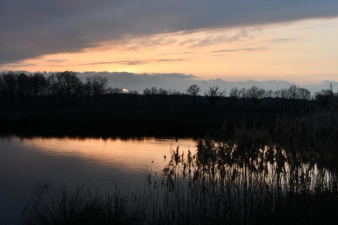 Photo of Others in Saint-Nizier-le-Desert