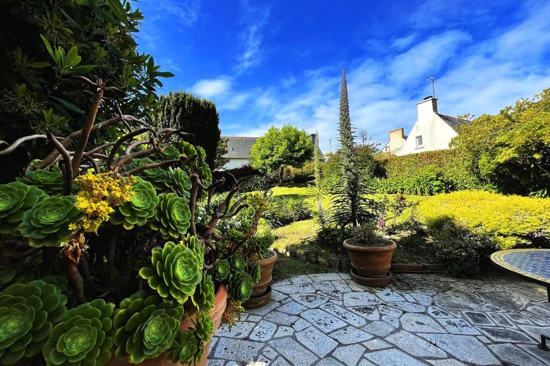 Photo of Others in Loguivy