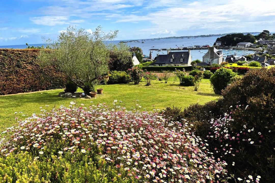 Photo of Others in Loguivy