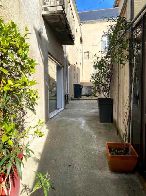 Photo of Others in Saint-Florent-le-Vieil