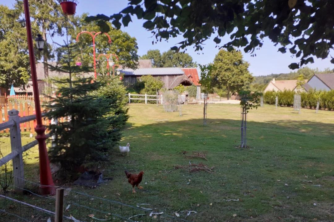 Photo of Others in Conde-sur-Noireau