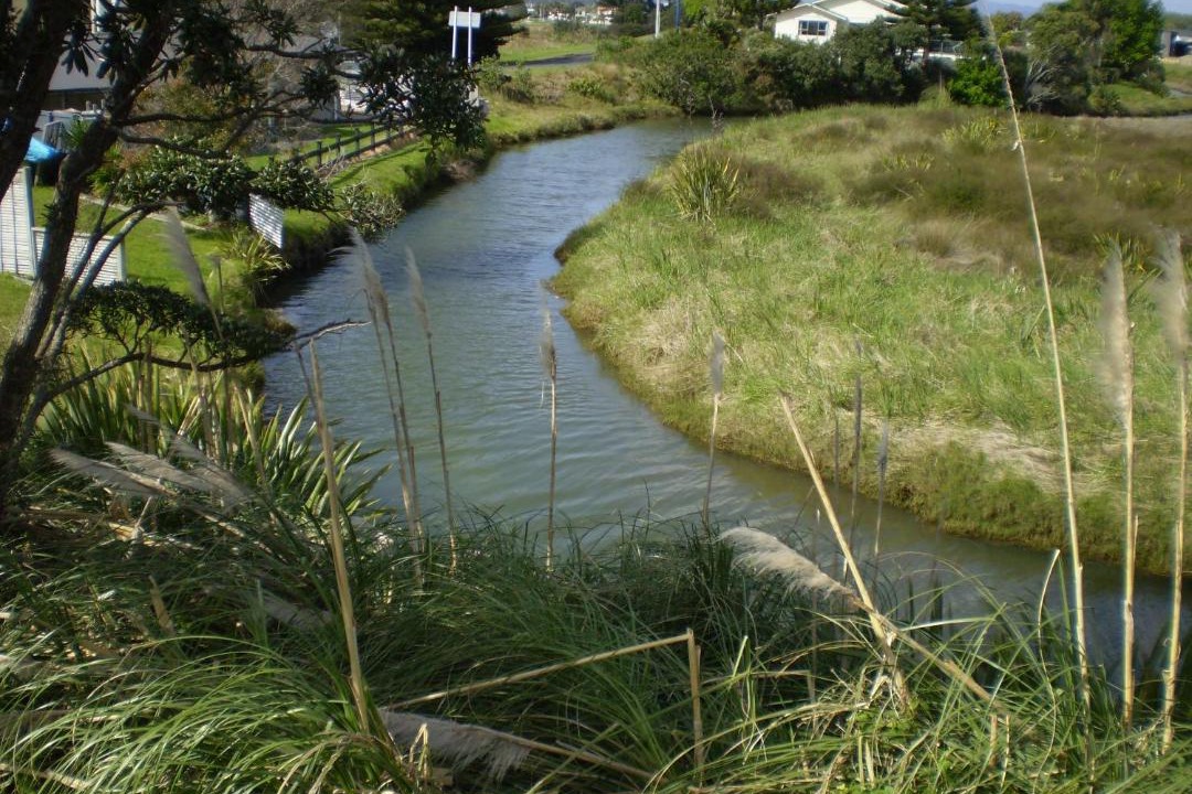 Photo of Others in Whitianga