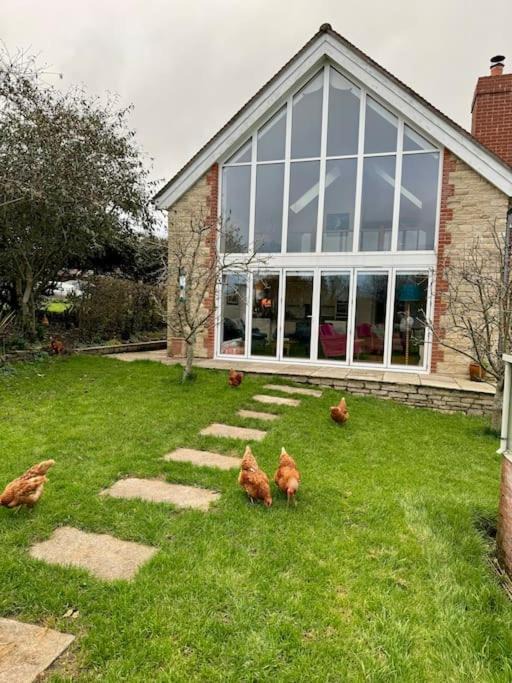 Photo of Others in West Knoyle