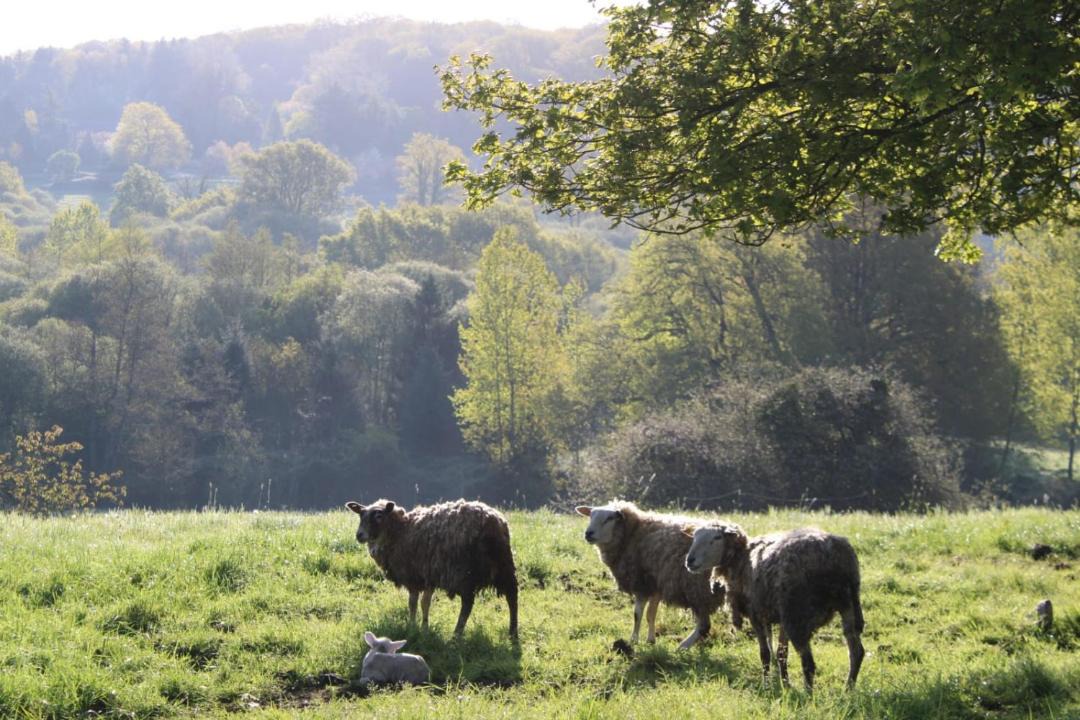 Photo of Others in Chailland