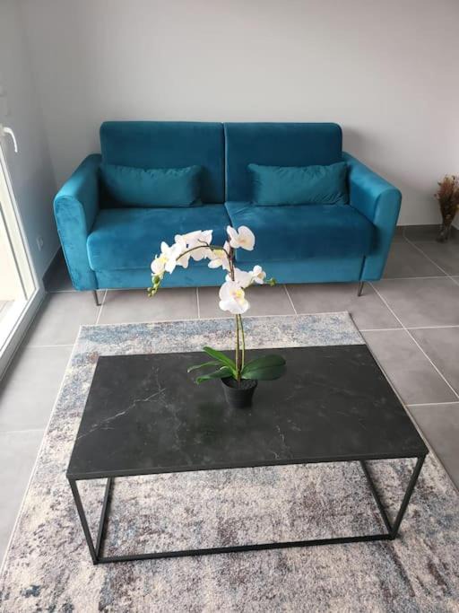 Photo of Others in Sainte-Marie-la-Mer