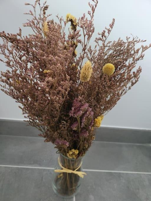 Photo of Others in Sainte-Marie-la-Mer