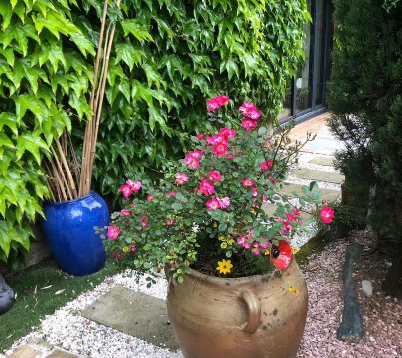 Photo of Others in Saint-Sebastien-sur-Loire