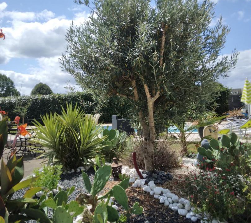 Photo of Others in Seyresse