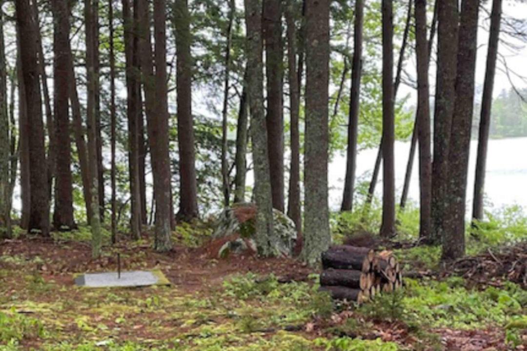 Photo of Others in Bremen